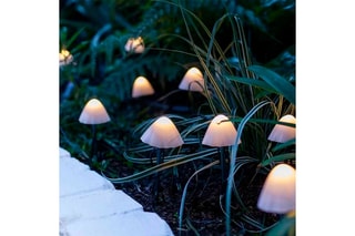 10 Solarledverslinger Mini-Champignons Champy