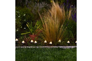 10 Solarledverslinger Mini-Champignons Champy