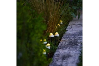 10 Solarledverslinger Mini-Champignons Champy
