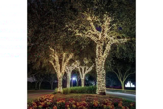 Guirlande solaire LED Party milky solar - Blanc chaud