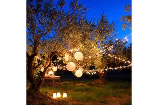 Guirlande solaire LED Party milky solar - Blanc chaud