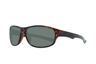 Lunettes de soleil mixte - Catégorie 3 - Guess - Brown