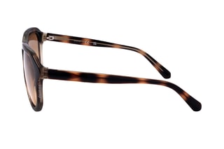 Lunettes de soleil homme - Catégorie 2 - Guess - Brown