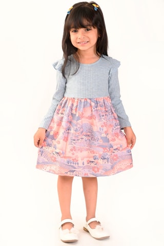 Jurk Roze en Blauw