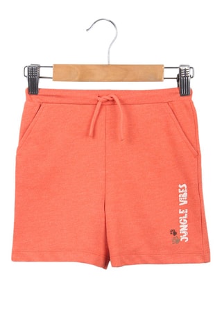 Short Zalmroze
