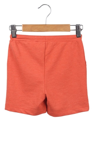 Short Zalmroze
