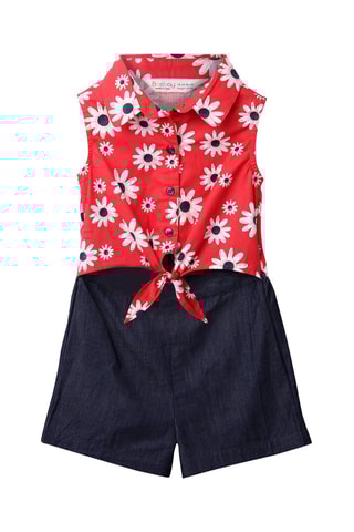 Pakje Rood en Blauw