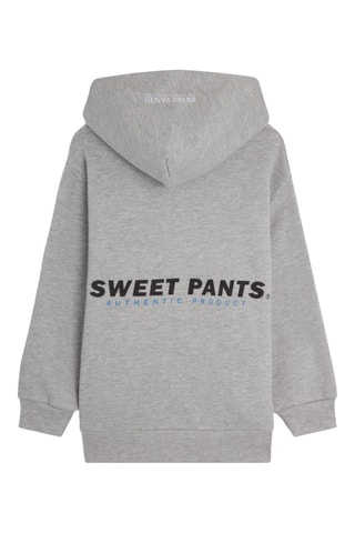 Sweat à capuche - Gris