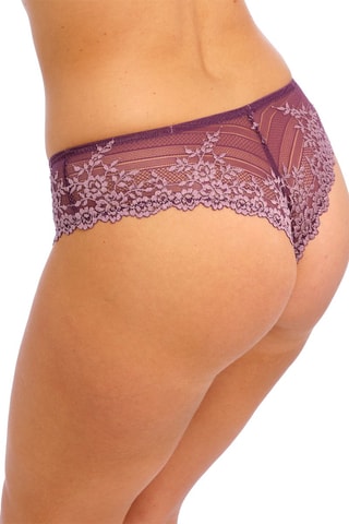 Tanga Embrace Lace - Violet - Wacoal