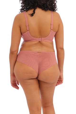 Culotte taille haute Priya - Vieux rose - Elomi