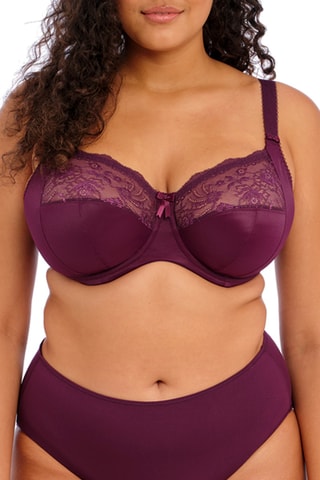 Soutien-gorge Moragan - Bordeaux - Elomi