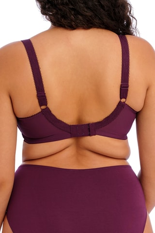 Soutien-gorge Moragan - Bordeaux - Elomi