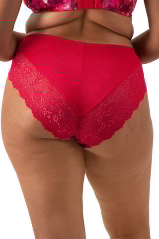 Culotte Morgan - Bordeaux - Elomi