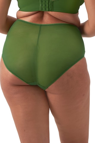 Culotte taille haute Matilda - Vert olive 