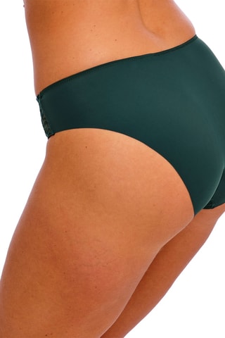 Culotte Eglantine - Vert foncé - Wacoal