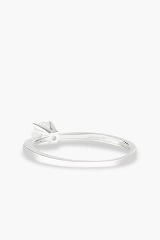 Solitaire Splendide 
Or blanc et diamants