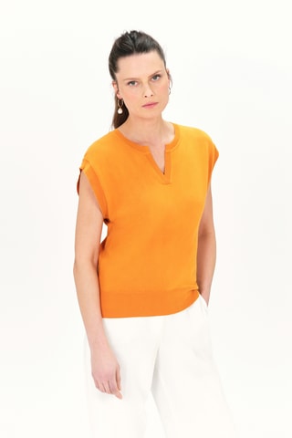 Top Meline - Camel