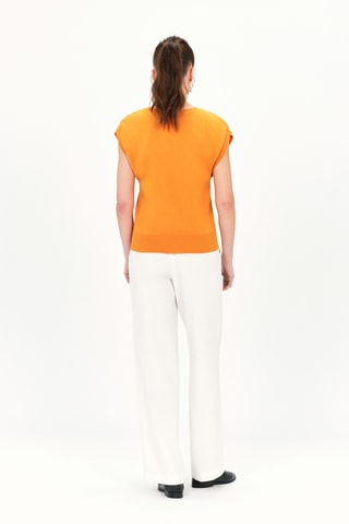 Top Meline - Camel