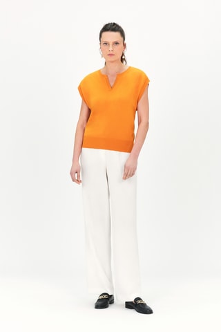 Top Meline - Camel