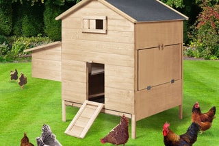 Poulailler en bois avec pondoir intégré - 6 à 10 poules