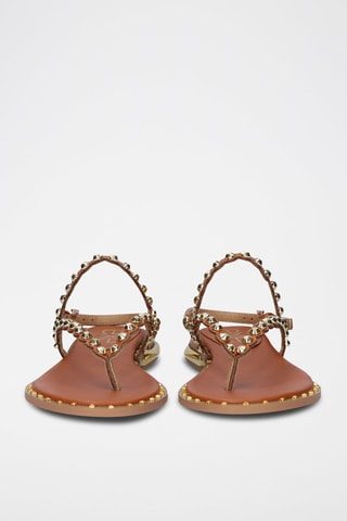 Sandales - Marron