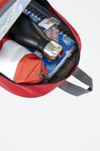Mochila Spidey e os seus amigos incríveis Marvel - Vermelho e cinzento