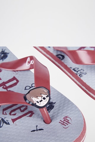 Chinelos Harry Potter Cinzento-claro