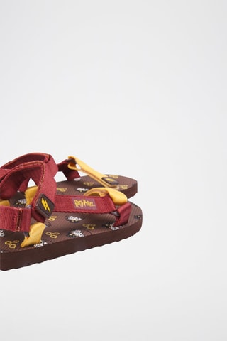 Sandálias Harry Potter Castanho e vermelho-escuro