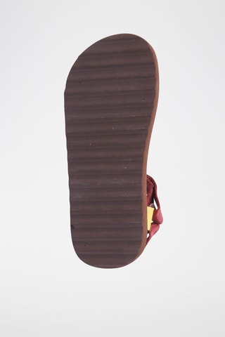 Sandálias Harry Potter Castanho e vermelho-escuro