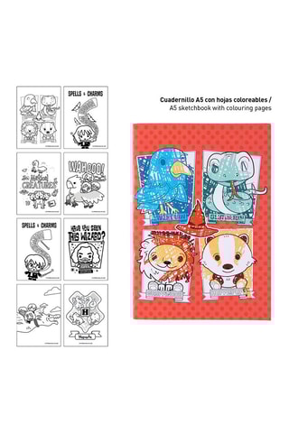 Kit de colorir Harry Potter 28 peças - Cinzento