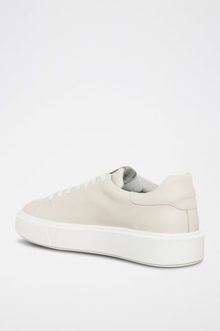Sneakers Cru
