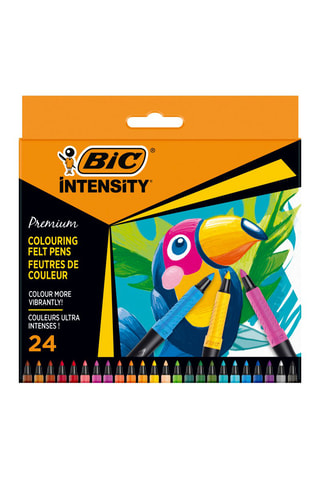 24 feutres de coloriage Intensity - Multicolore