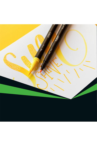 12 feutres d'écriture pour adultes Intensity Dual Tip