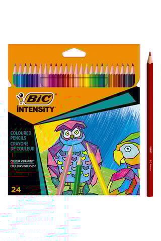 24 crayons de couleur Intensity - Multicolore