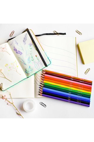 24 crayons de couleur Intensity - Multicolore