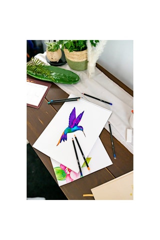 Crayons de couleur Intensity - 24 pièces