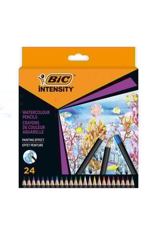 24 crayons de couleur Intensity
