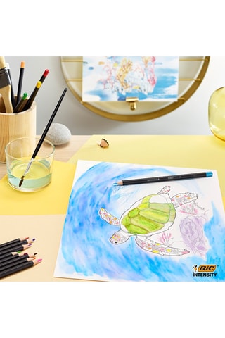 24 crayons de couleur Intensity