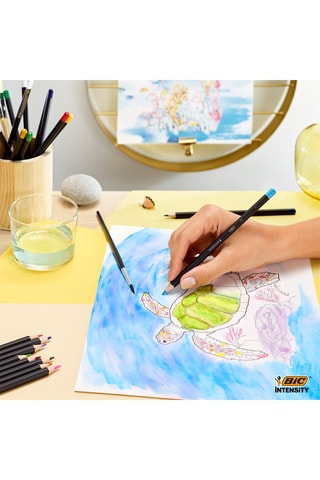 24 crayons de couleur Intensity