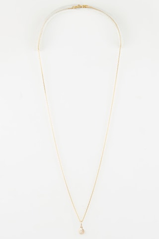Pendente Laelia 
Ouro amarelo e diamante