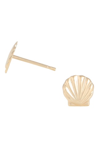 Puces Coquillages 
Or jaune
