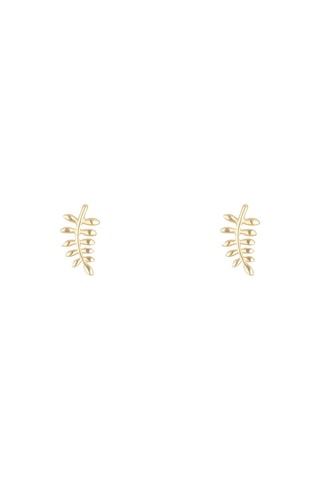 Brincos Feuilles d'or Ouro amarelo