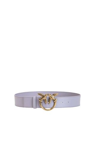 Leren Riem - Lichtpaars