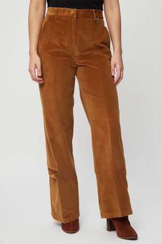 Pantalon droit en velours côtelé - Camel  - Harmont & Blaine