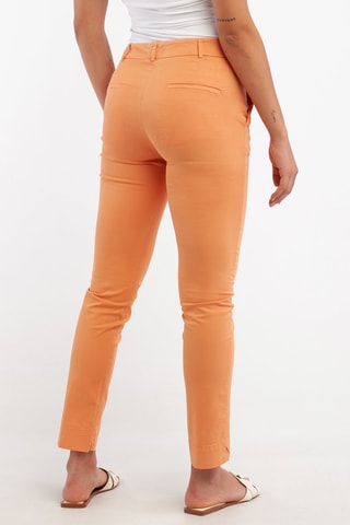 Chino - Orange - Harmont & Blaine