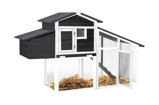 Poulailler en bois de pin - 172 x 110 x 64 cm