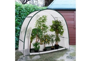 Serre d'hivernage demi-lune pour terrasse - 200 x 80 x 170 cm