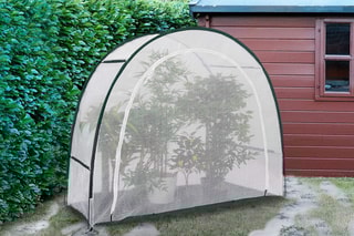 Serre d'hivernage demi-lune pour terrasse - 200 x 80 x 170 cm