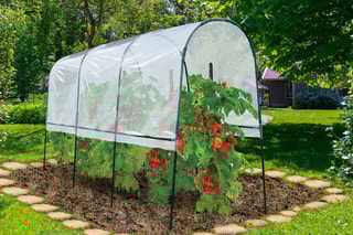 Serre à tomate - 400 x 120 x 170 cm