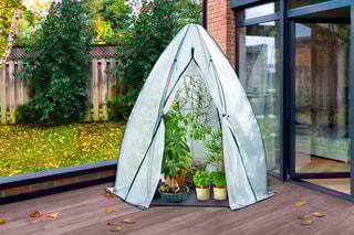 Serre d'hivernage forme tipi - 160 x 160 x 180 cm